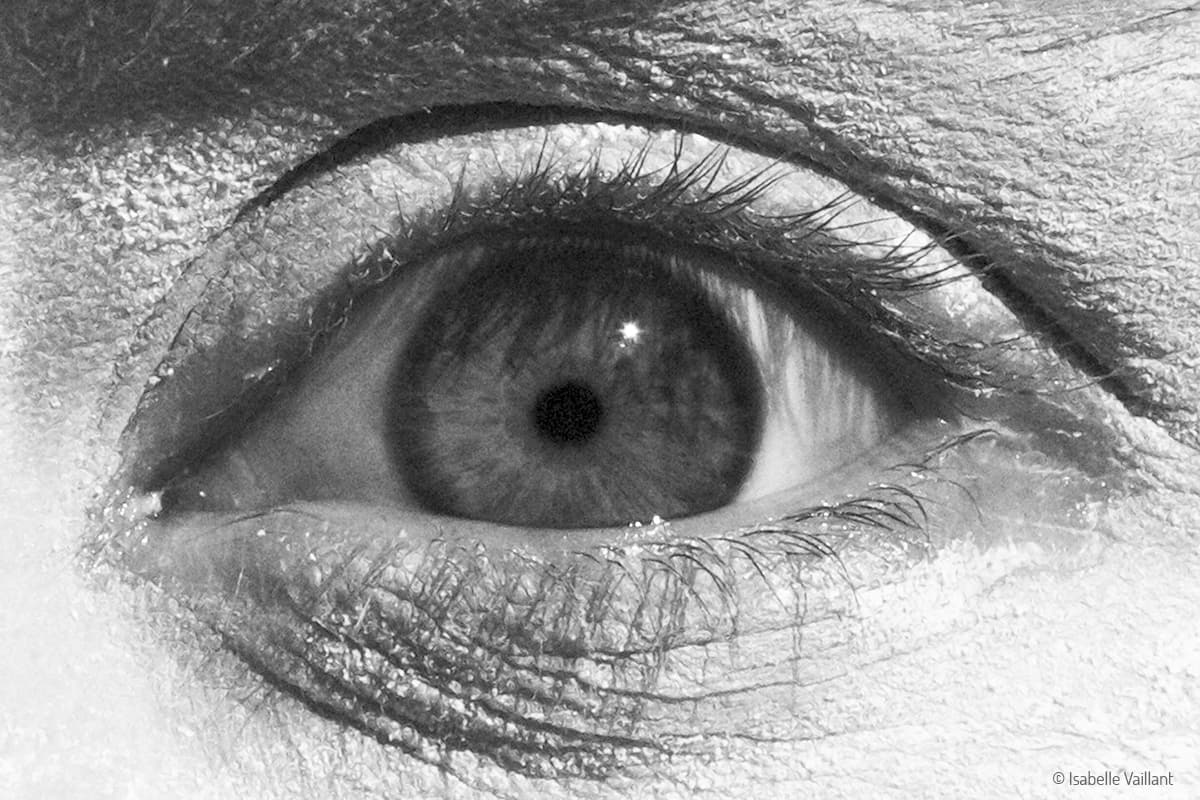 observer